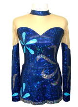  Rhythmic Leotards 